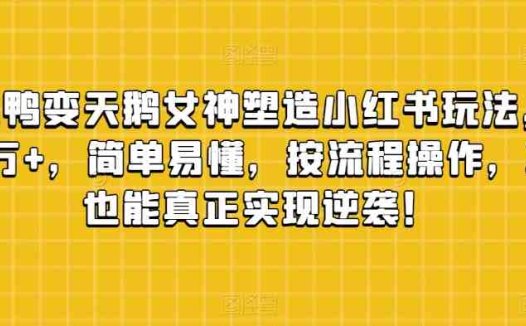 丑小鸭变天鹅女神塑造小红书玩法，月入5万+，简单易懂，按流程操作，草根也能真正实现逆袭！(“小红书引流变现丑小鸭变天鹅女神塑造项目引领草根逆袭之路”)