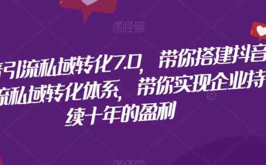 抖音引流私域转化7.0，带你搭建抖音引流私域转化体系，带你实现企业持续十年的盈利(掌握抖音引流私域转化7.0，助力企业持续增长盈利)