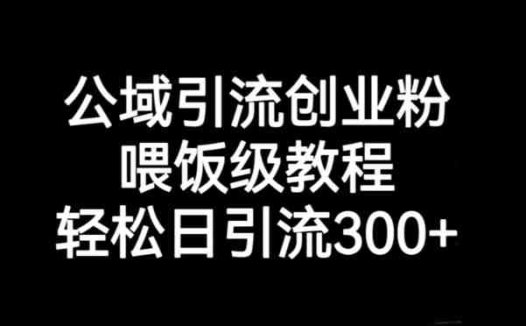 公域引流创业粉，喂饭级教程，轻松日引流300+【揭秘】(公域引流创业粉喂饭级教程助您轻松日引流300+)