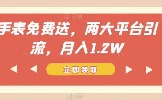 手表免费送，两大平台引流，月入1.2W【揭秘】(“揭秘”双11期间如何在小红书和咸鱼平台销售手表赚取高额差价)