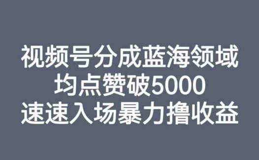 视频号分成蓝海领域，均点赞破5000，速速入场暴力撸收益(探索视频号分成蓝海领域，实现高收益的实操指南)