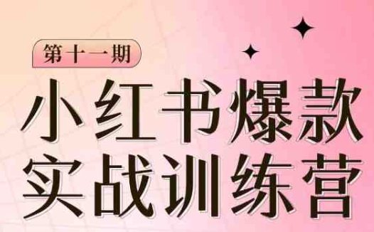 小红书博主爆款训练营第11期，手把手教你从0-1做小红书，从定位到起号到变现(小红书博主成长之路从零基础到变现的全面指南)