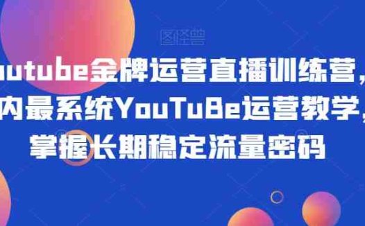 Youtube金牌运营直播训练营，国内最系统YouTuBe运营教学，掌握长期稳定流量密码