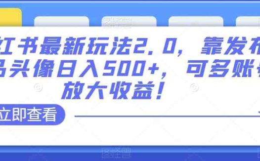 小红书最新玩法2.0，靠发布精品头像日入500+，可多账号放大收益！【揭秘】(揭秘小红书新玩法发布精品头像实现日入500+)