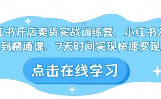 小红书开店卖货实战训练营，小红书入门到精通课，7天时间实现快速变现(小红书开店卖货实战训练营7天快速变现指南)