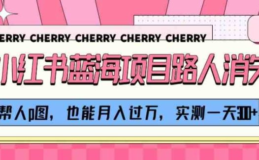 小红书蓝海项目路人消失术，帮人p图，也能月入过万，实测一天300+【揭秘】(揭秘小红书蓝海项目路人消失术助力月入过万)