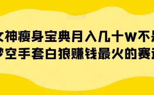 女神瘦身宝典月入几十W不是梦空手套白狼赚钱最火的赛道【揭秘】(揭秘女性瘦身宝典月入几十W不是梦)