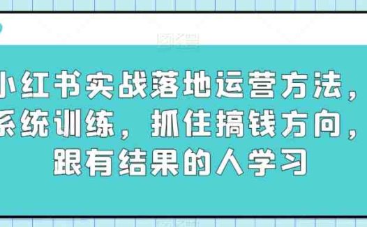 小红书实战落地运营方法，系统训练，抓住搞钱方向，跟有结果的人学习(小红书实战运营教程系统训练，抓住搞钱方向)
