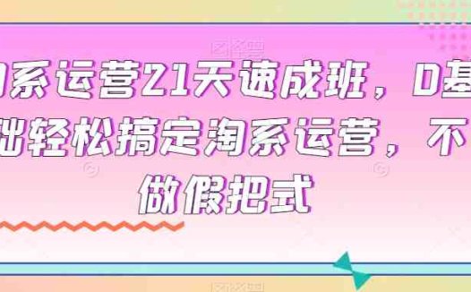 淘系运营21天速成班，0基础轻松搞定淘系运营，不做假把式(淘系运营21天速成班，全面解析淘宝运营技巧)