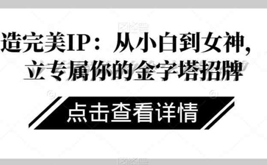 打造完美IP:从小白到女神,建立专属你的金字塔招牌(从小白到女神打造专属你的金字塔招牌)