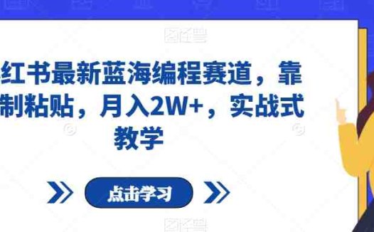 小红书最新蓝海编程赛道，靠复制粘贴，月入2W+，实战式教学【揭秘】(小红书最新蓝海编程赛道轻松赚钱，提升逻辑能力)