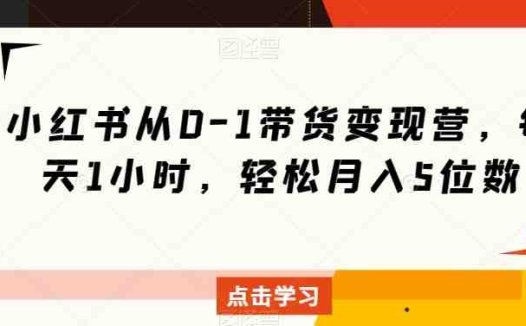 小红书从0-1带货变现营，每天1小时，轻松月入5位数(小红书带货变现营每天1小时，轻松月入5位数)