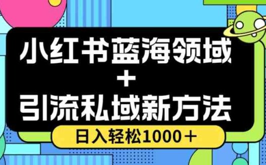 小红书蓝海虚拟＋引流私域新方法，100%不限流，日入轻松1000＋，小白无脑操作【揭秘】(揭秘小红书蓝海虚拟＋引流私域新方法，小白也能轻松操作)
