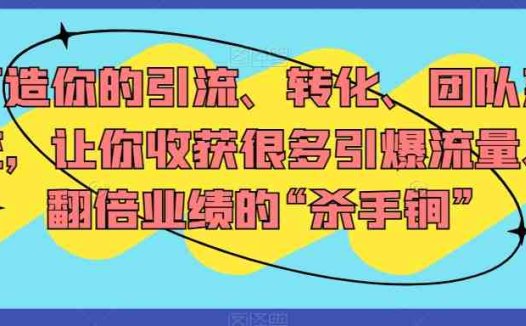 打造你的引流、转化、团队系统,让你收获很多引爆流量、翻倍业绩的“杀手锏”(mp5108期课程打造引流、转化、团队系统,实现引爆流量与翻倍业绩)