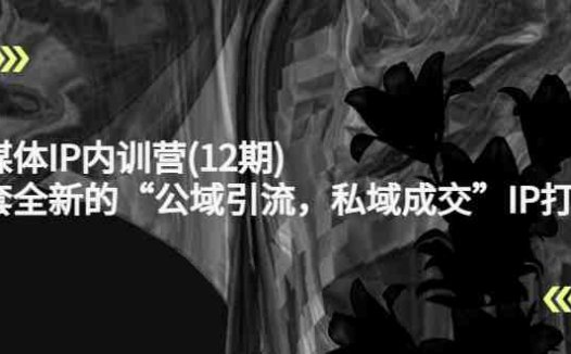 新媒体IP内训营(12期),一套全新的“公域引流,私域成交”IP打法,直接带走(全新IP打法助您实现公域引流与私域成交)