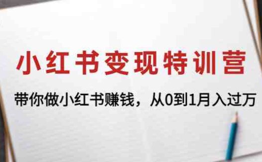 小红书变现特训营：带你做小红书赚钱，从0到1月入过万(小红书变现特训营助你轻松掌握涨粉与变现技巧)