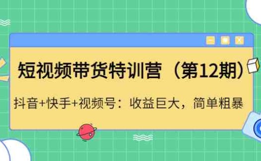 抖音+快手+视频号：收益巨大，简单粗暴！(掌握短视频带货技巧，轻松赚取额外收入！)