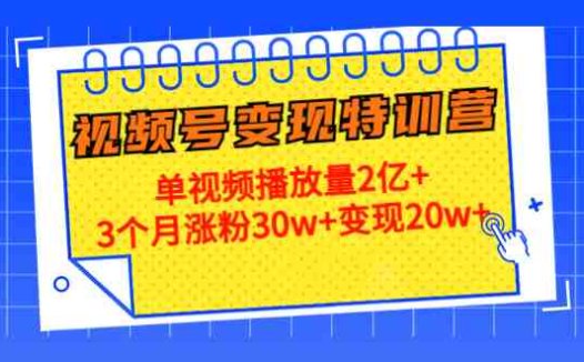 20天视频号变现特训营：单视频播放量2亿+3个月涨粉30w+变现20w+(全面掌握视频号运营与变现技巧，助您实现粉丝增长与财富增值)