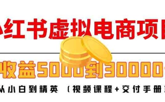 小红书虚拟电商项目：从小白到精英 月收益5000到30000 (视频课程+交付手册)(小红书虚拟电商项目从小白到精英，实现高收益)