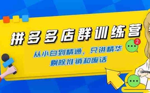 拼多多店群训练营：从小白到精通，只讲精华，剔除推销和废话(拼多多店群训练营全面掌握店铺运营技巧)