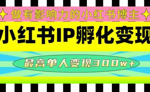 某收费培训-小红书IP孵化变现：做有影响力的小红书博主，最高单人变现300w+(小红书IP孵化变现培训课程提升影响力，实现高额变现)