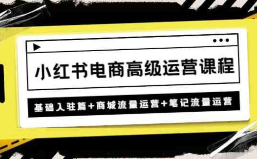 小红书电商高级运营课程：基础入驻篇+商城流量运营+笔记流量运营(全面掌握小红书电商运营技巧，提升店铺业绩)