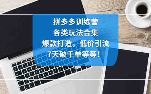 拼多多训练营:各玩法合集,爆款打造,低价引流,7天破千单等等!(拼多多训练营深度解析电商运营策略,助力商家提升销售业绩)