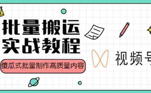 视频号实战教程从基础到精通，轻松赚取流量收益”)