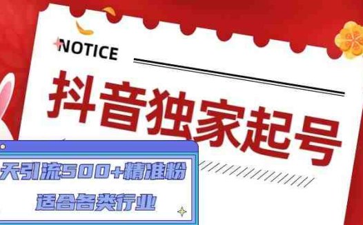 抖音独家起号,一天引流500+精准粉,适合各类行业(9节视频课)(全面掌握抖音运营技巧,实现高效精准引流)