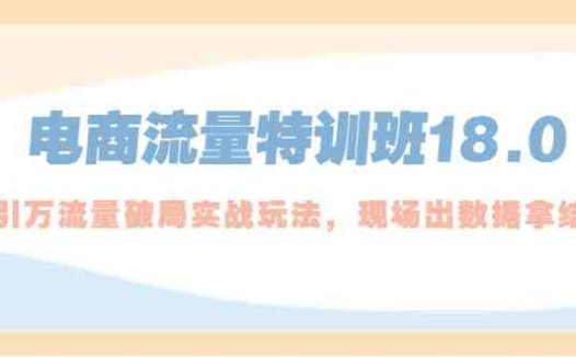 电商流量特训班18.0，直引万流量破局实操玩法，现场出数据拿结果(电商流量特训班18.0直引万流量破局实操玩法，助中小卖家解决流量困境)