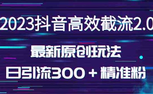 日引300+创业粉,独家抖音高效截流2.0玩法(价值1280)(探索抖音高效截流2.0玩法,轻松日引300+创业粉)