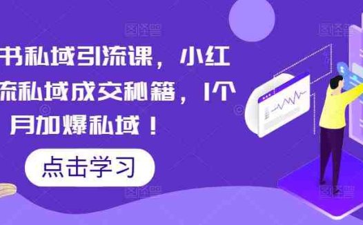 小红书私域引流课，小红书引流私域成交秘籍，1个月加爆私域！(掌握小红书引流秘籍，提升私域成交效率)