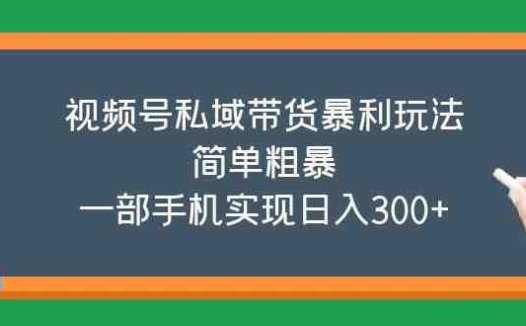 视频号私域带货暴利玩法，简单粗暴，一部手机实现日入300+(视频号私域带货一部手机实现日入300+的简单粗暴策略)