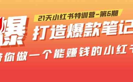 21天小红书特训营-第6期,打造爆款笔记,带你做一个能赚钱的小红书!(掌握小红书运营技巧,实现自媒体变现)