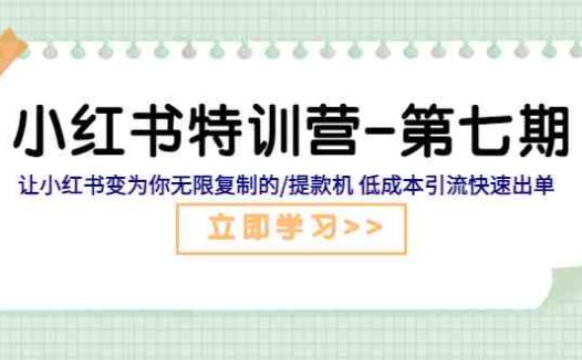 小红书特训营-第七期 让小红书变为你无限复制的/提款机 低成本引流快速出单(小红书特训营第七期系统化学习+实操演练，打造无限复制的提款机)
