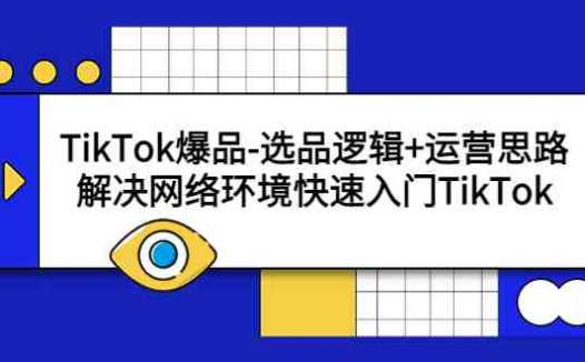 TikTok爆品-选品逻辑+运营思路：解决网络环境快速入门TikTok(掌握TikTok爆品选品逻辑与运营技巧，助力网络环境快速入门)