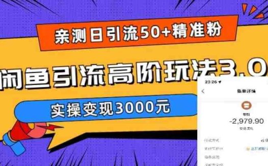 实测日引50+精准粉，闲鱼引流高阶玩法3.0，实操变现3000元(实测日引50+精准粉，闲鱼引流高阶玩法3.0实操变现指南)