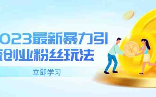 2023最新暴力引流创业粉丝玩法，单日被动引流50+创业粉(掌握2023最新暴力引流创业粉丝玩法，轻松打造爆款账号与后端变现产品)