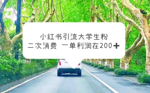 小红书引流大学生粉，变现项目，一单利润在200+（教程+资源）(“利用小红书引流大学生粉丝，实现私域变现的新策略”)