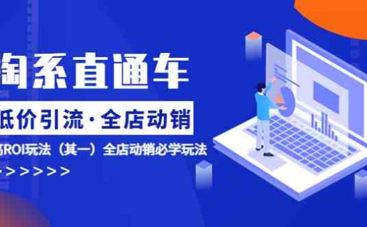 淘系直通车《低价·引流 全店·动销》超高ROI玩法（其一）全店动销必学玩法(淘系直通车《低价·引流 全店·动销》课程详解)