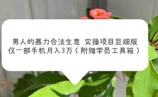 男人的暴力合法生意实操项目巨细版：仅一部手机月入3w（附赠学员工具箱）(揭秘男性主导的月入3万合法生意实操项目)
