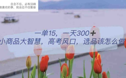 一单15，一天300+，小商品大智慧，高考风口，选品该怎么布局(“高考风口下的小商品大智慧选品布局与快速变现策略”)