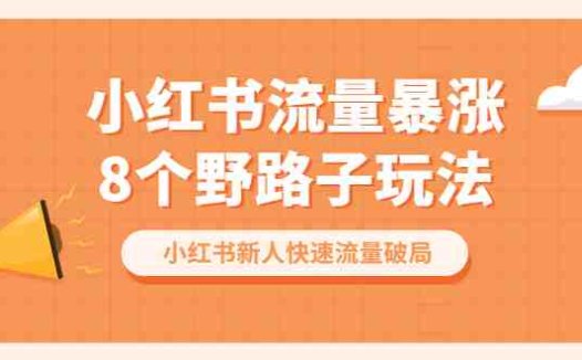 小红书流量-暴涨8个野路子玩法:小红书新人快速流量破局(8节课)(小红书新人快速流量破局8节课掌握野路子玩法)