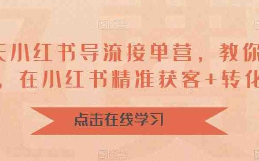 16天-小红书 导流接单营，教你引爆流量，在小红书精准获客+转化成交(“全面解析小红书获客转化之道16天实战课程详解”)