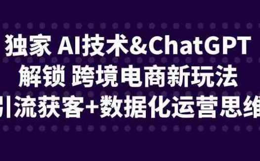 独家 AI技术&ChatGPT解锁 跨境电商新玩法，引流获客+数据化运营思维