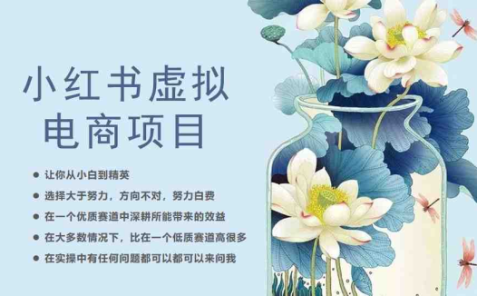 小红书虚拟电商从0到1，让你从小白到精英（20节实操课程）(小红书虚拟电商实操课程从小白到精英的成长之路)