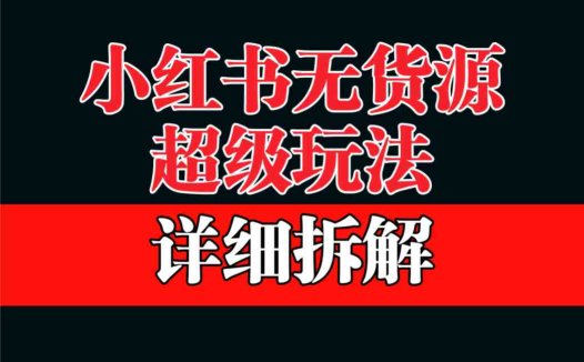 做小红书无货源，靠这个品日入1000保姆级教学(揭秘小红书无货源项目如何日入1000+)