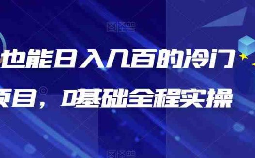 新手也能日入几百的冷门DIY项目，0基础全程实操【揭秘】(揭秘新手如何通过冷门DIY项目实现日入几百)