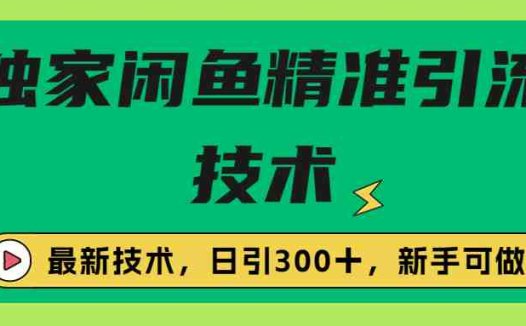 独家闲鱼引流技术，日引300＋实战玩法(掌握闲鱼引流技巧，开启日引300＋实战之旅)