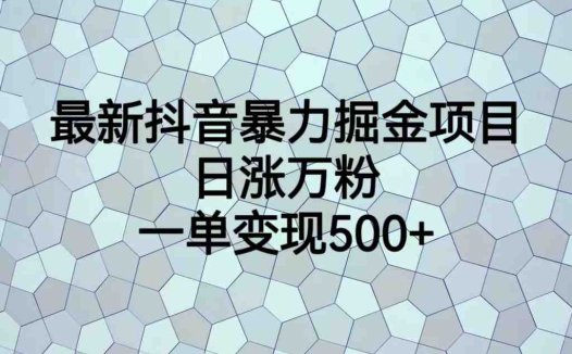 最新抖音暴力掘金项目，日涨万粉，一单变现500+(探索最新抖音暴力掘金项目，实现快速粉丝增长与高额变现)